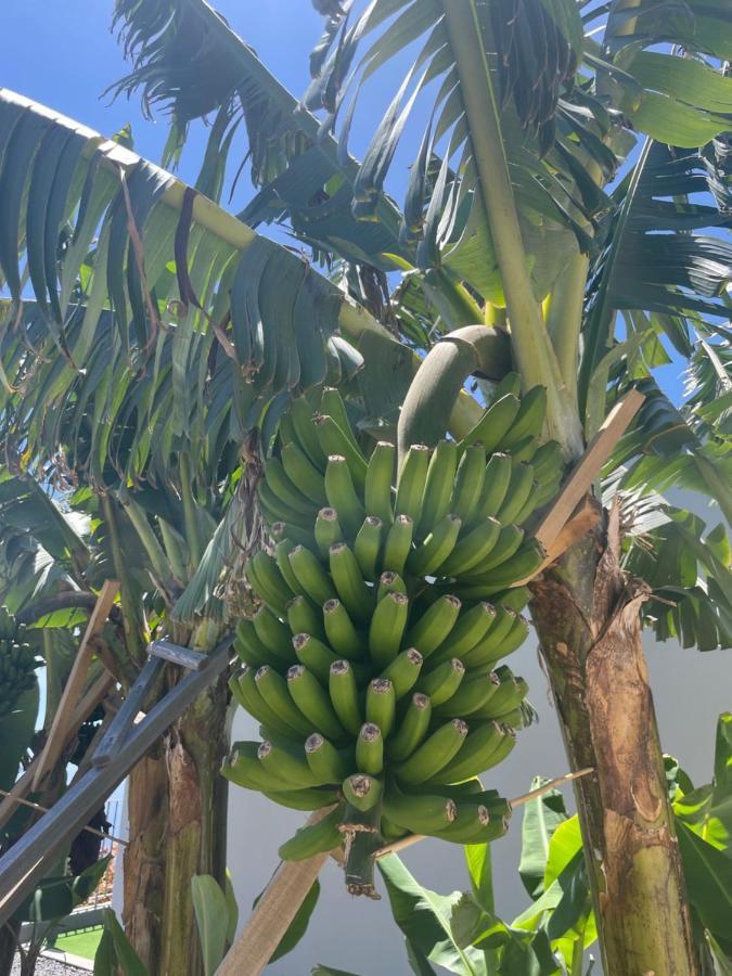 King'S Paradise Estreito Da Calheta Екстер'єр фото